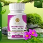 Ceylon Science Heenbovitiya 500mg, 60 veg Capsules